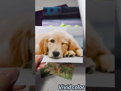 Rolka papieru fotograficznego Premium Luster do drukarek wielkoformatowych Epson / Canon / HP