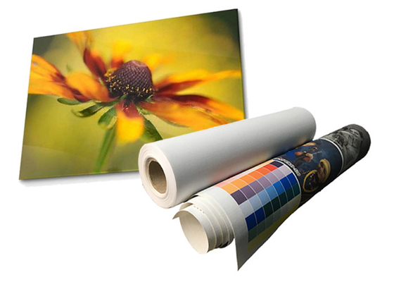 Lateksowa matowa wodoodporna poliestrowa rolka płócienna Eco Solvent 280gsm